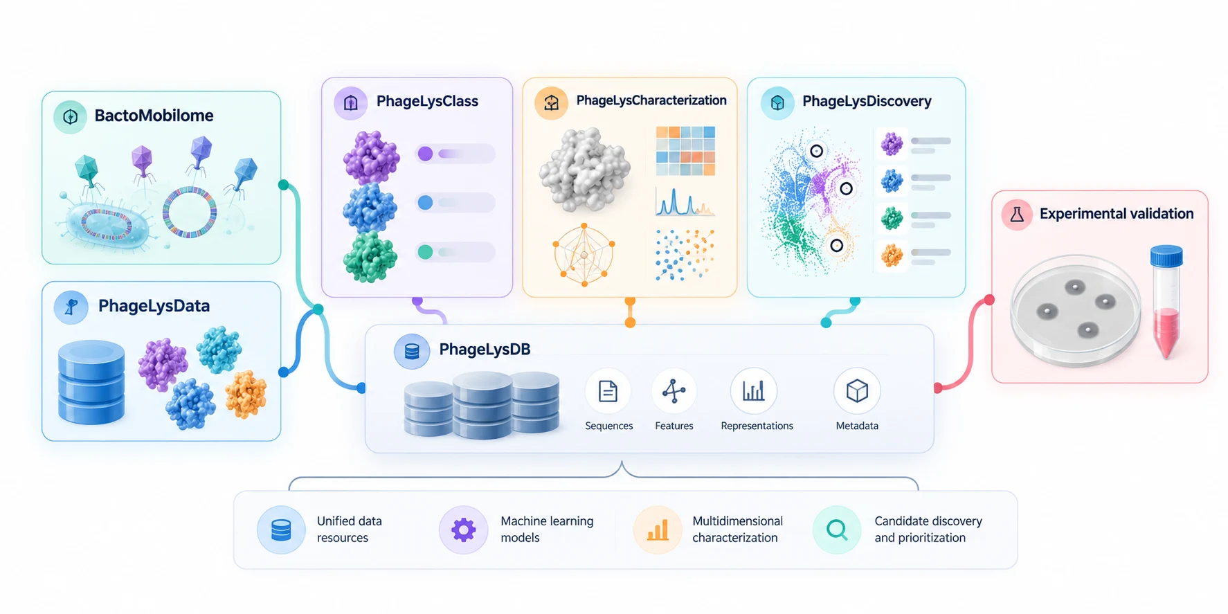 PhageLys project architecture connecting BactoMobilome, PhageLysData, classification, characterization, discovery, shared data resources and experimental validation